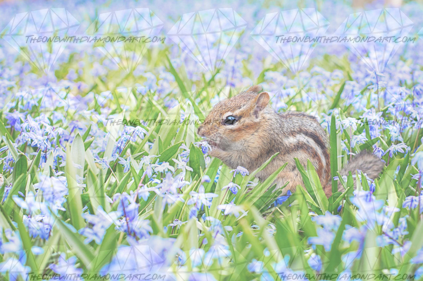 Chipmunk and Flowers