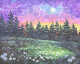 Daisy Meadow At Sunset ©Laura Milnor Iverson