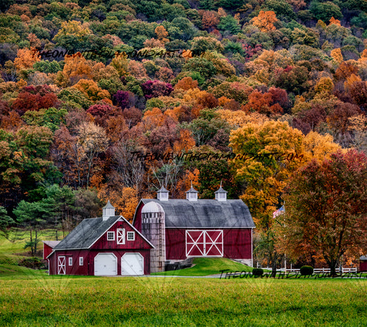 The Farm In Autumn