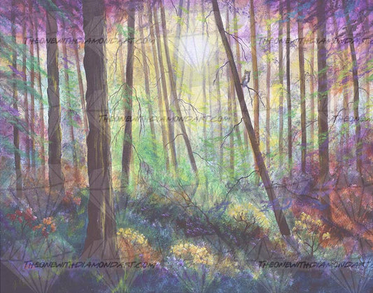 Forest Dream ©Laura Milnor Iverson