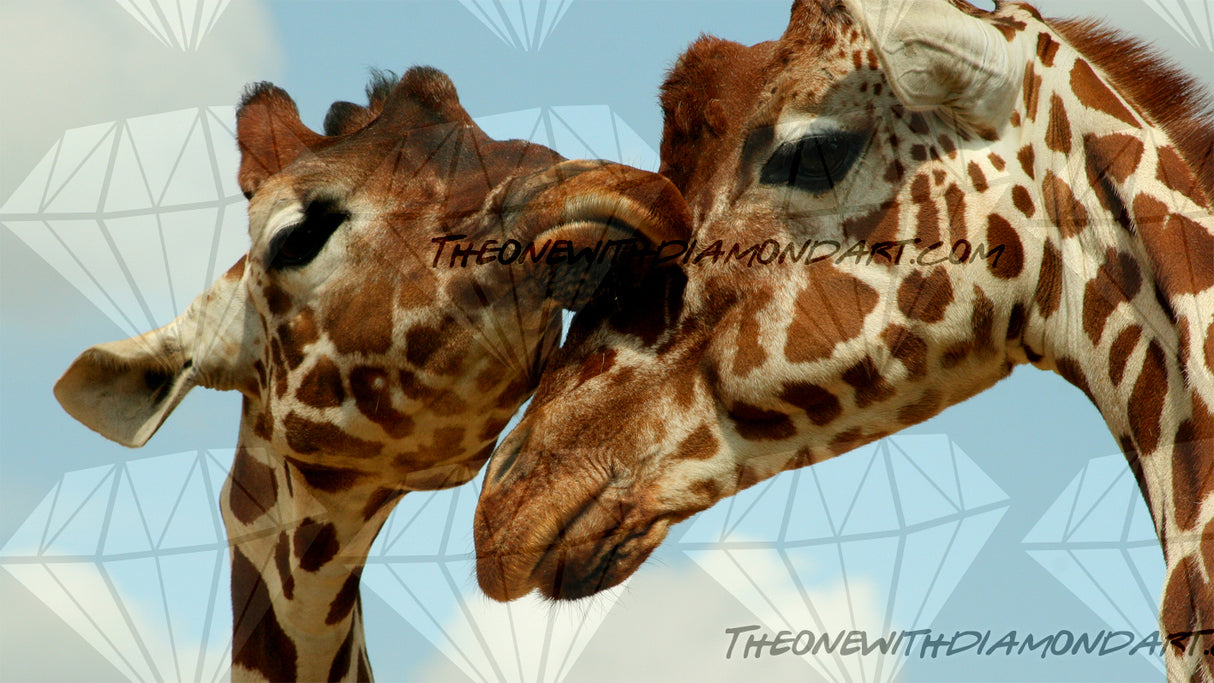 Giraffe Couple