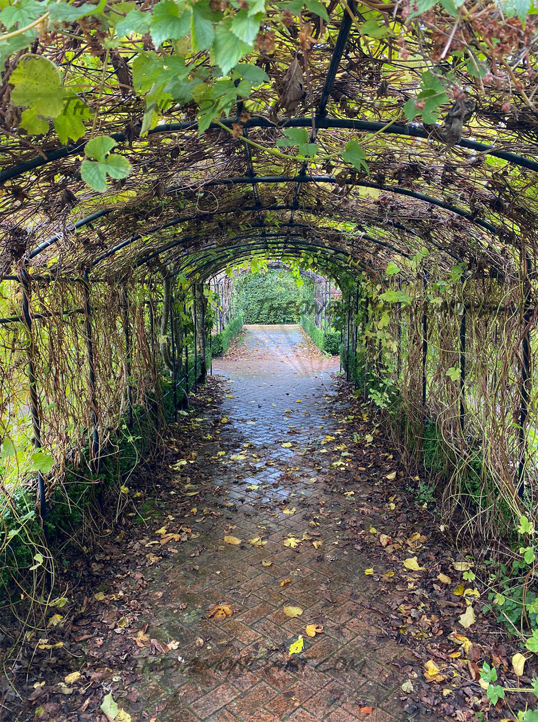 Arboretum Archway ©Jigsaw Photography