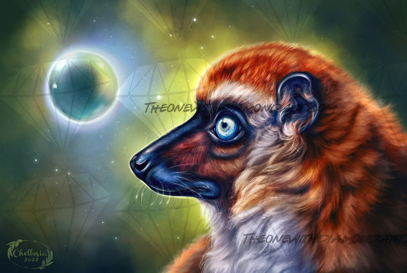 Blue-Eyed Black Lemur ©Chellosia