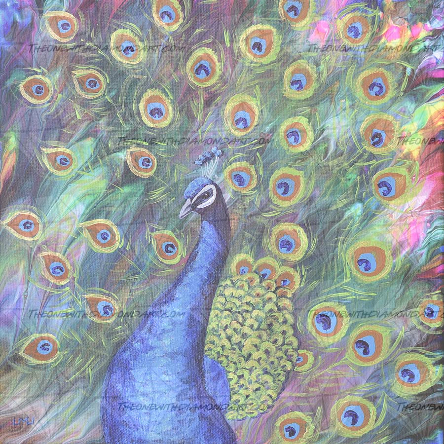Peacock ©Laura Milnor Iverson