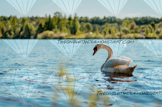 Swan Lake