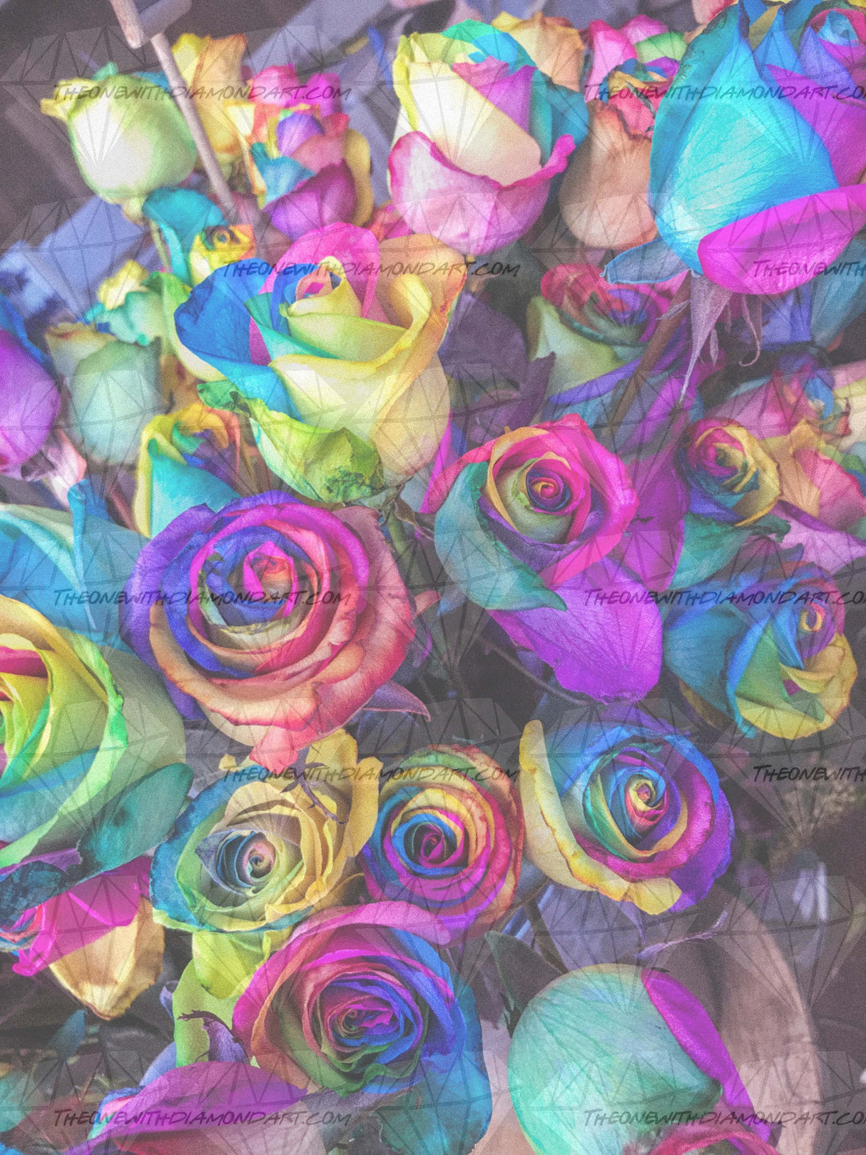 Rainbow Roses