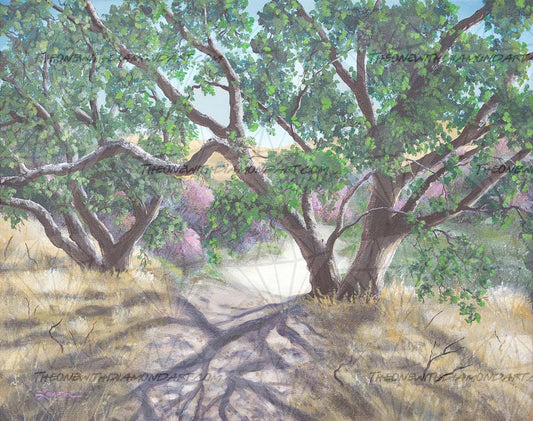 Walking Through The Oak Trees On A Sunny Day ©Laura Milnor Iverson