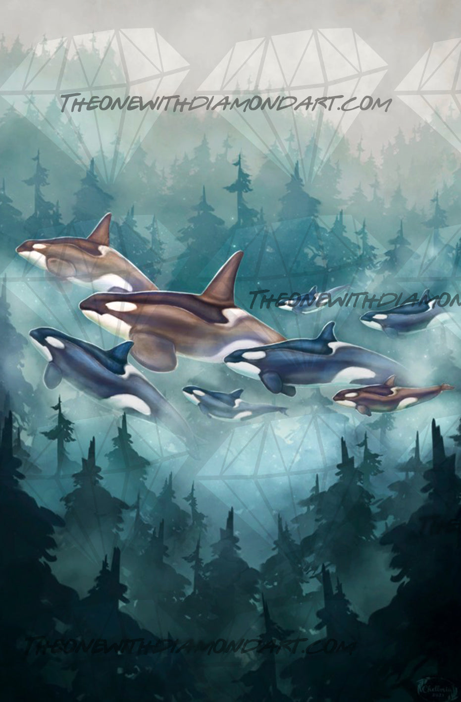 Transcendent Orca - Transient ©Chellosia