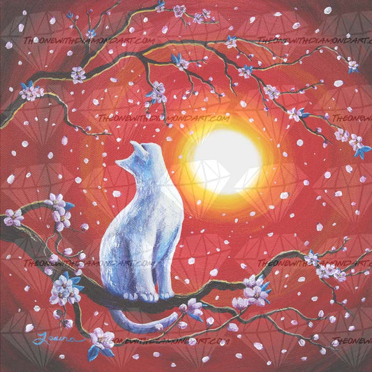 White Cat In Bright Sunset ©Laura Milnor Iverson